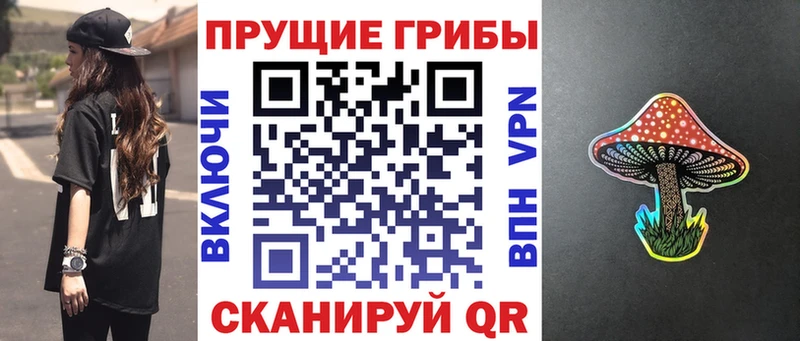 Псилоцибиновые грибы Magic Shrooms  Ногинск 