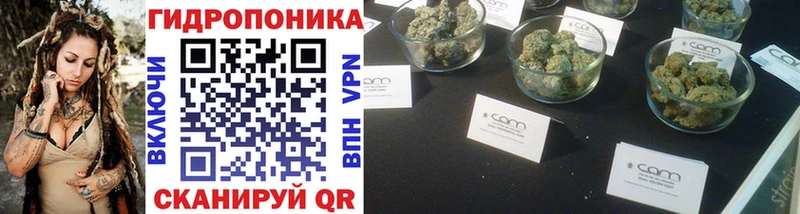 закладки Ногинск shop наркотические препараты Бошки Шишки VHQ
