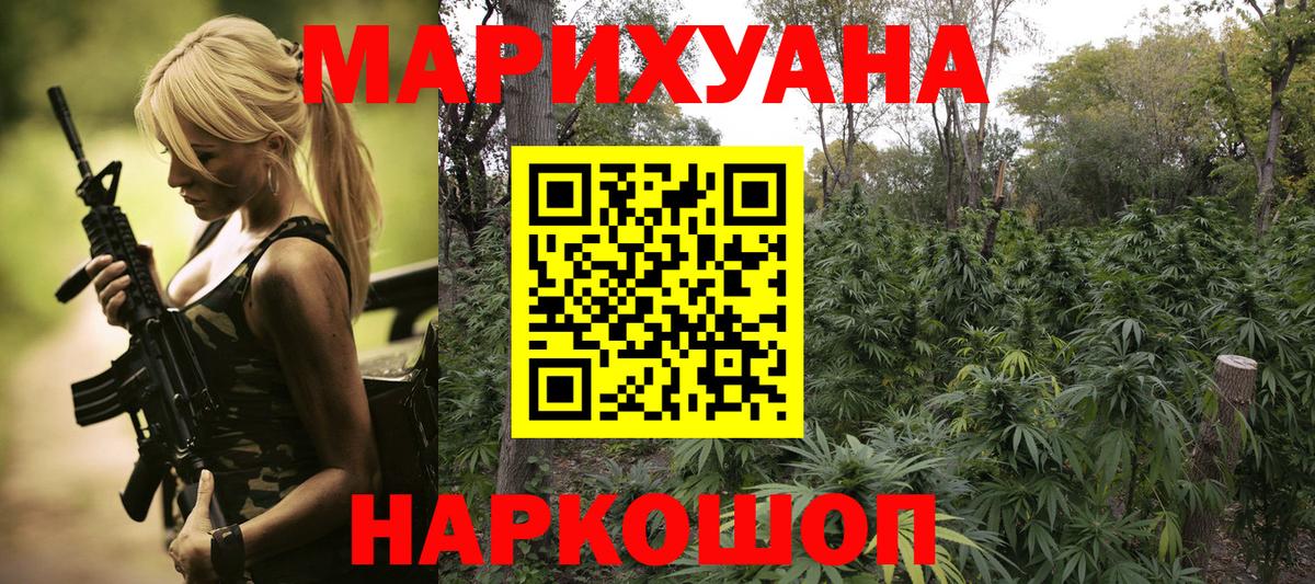Бошки Шишки планчик Ногинск